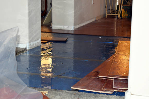 Professional Burst Pipe Water Damage technician working in Ney, OH